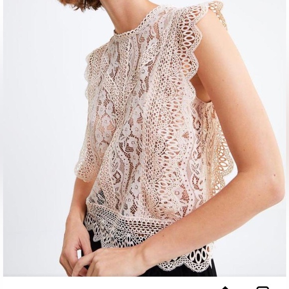 Zara Blush Pink/Beige Lace Cap Sleeves Floral Lace Doily Top, Small - Picture 6 of 13
